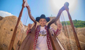 Alex Martínez el arpista venezolano que destaca en el video aniversario de Metallica