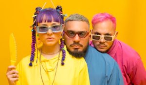 Motherflowers continúa con su Retrofuturismopsicotropical