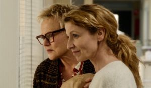 EL LIBRO DE LOS DESEOS: UN CANTO A LA VIDA