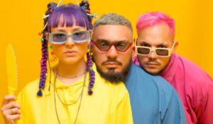 Motherflowers continúa mostrando música 