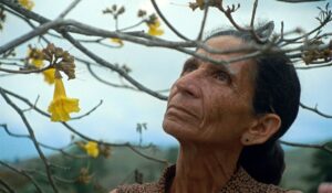 Pasta Negra, el nuevo cortometraje del venezolano Jorge Thielen Armand, se estrena en el Sundance Film Festival