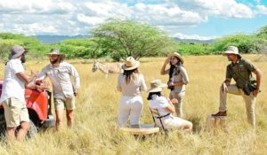 Safari se estrena en nueva temporada de Tierra Tropical en marzo 2024