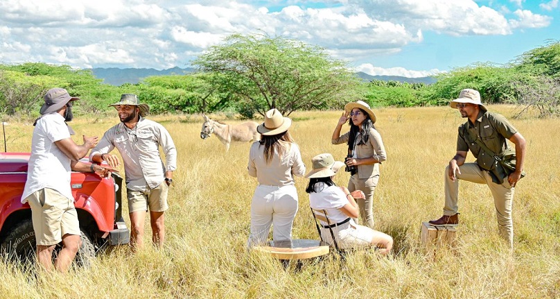 Safari se estrena en nueva temporada de Tierra Tropical en marzo 2024