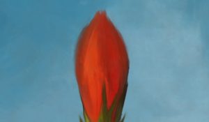 CALUU C PRESENTA SU NUEVO SENCILLO “VUELTA ATRÁS 