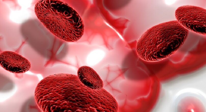 Cada 27 de segundos una persona es diagnosticada con cáncer de sangre