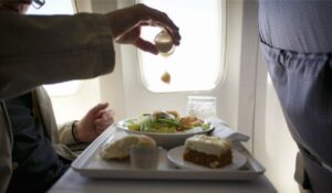 ¿Se puede llevar comida en un avión?