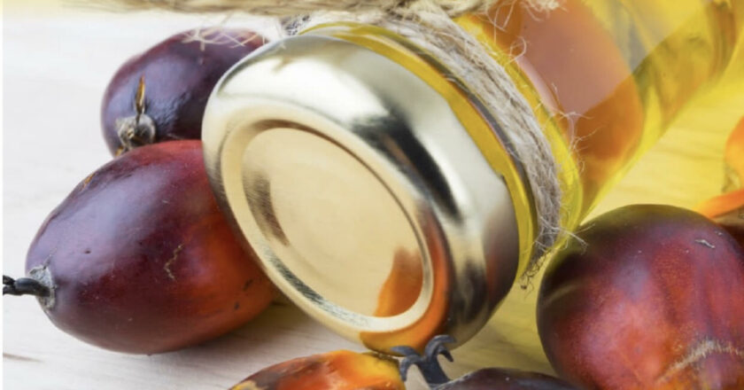 Grupo San Simón dice sí a la producción sostenible de aceite de palma