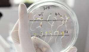 Test epigenéticos para una medicina aún más personalizada