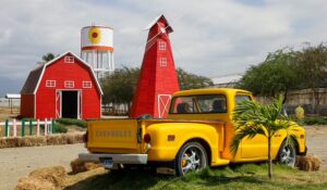 El Easter Egg Hunt 2025 llega a Tierra Tropical