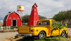 Tierra Tropical una granja mágica en Baní